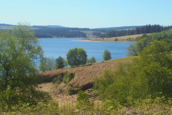 Kielder